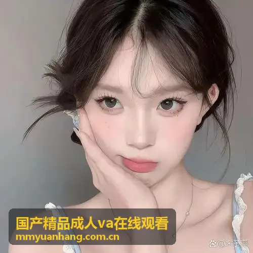 国产精品成人va在线观看极速专线节点